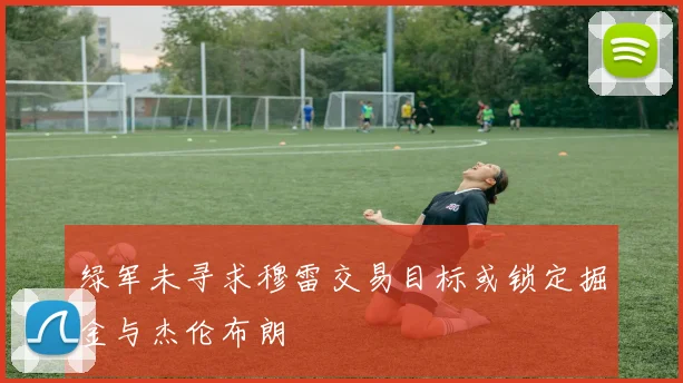 绿军未寻求穆雷交易目标或锁定掘金与杰伦布朗