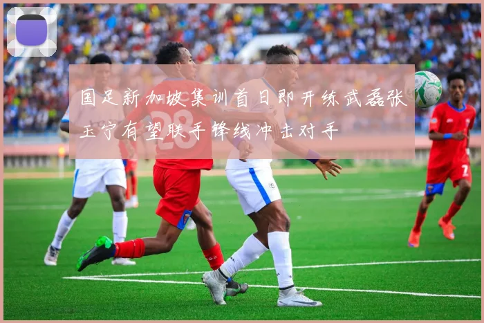 国足新加坡集训首日即开练武磊张玉宁有望联手锋线冲击对手